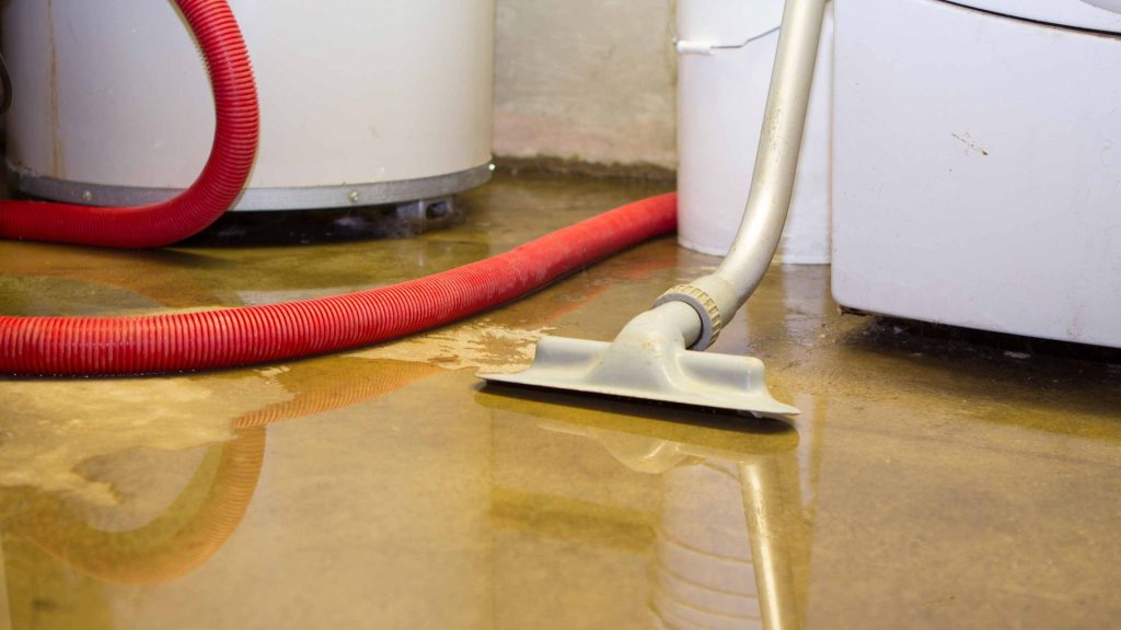 water damage service-redbird