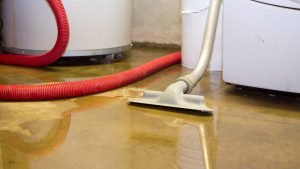 water damage service-redbird