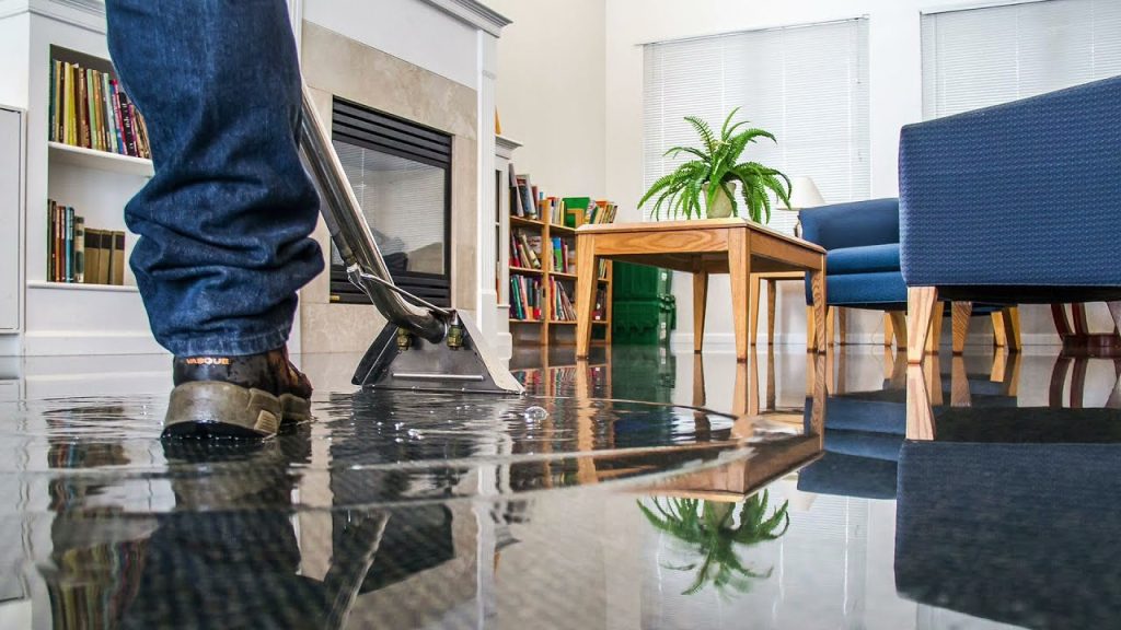 water damage repair-red bird